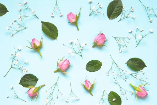 Vista superior de rosas rosadas y hojas verdes sobre fondo azul. Fondo floral abstracto . — Foto de Stock