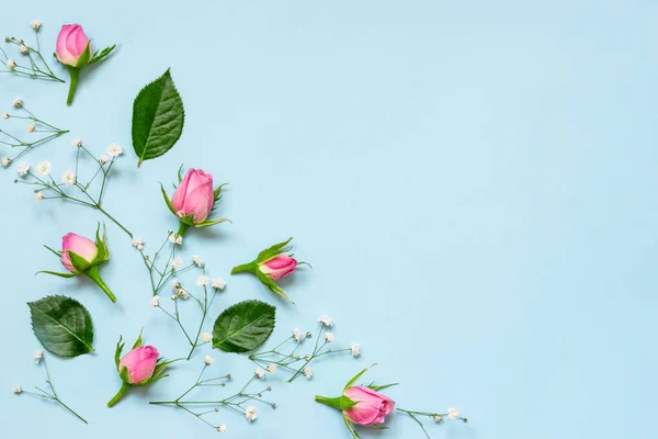 Vista superior de rosas rosadas y hojas verdes sobre fondo azul. Fondo floral abstracto. Copiar espacio . — Foto de Stock