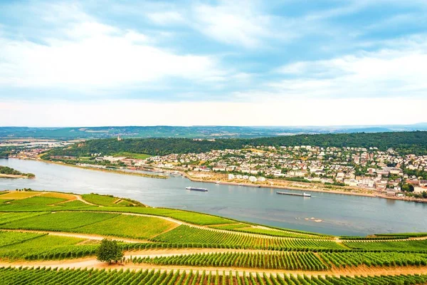 Vista aérea del valle del Rin con grandes macizos de viñedos junto a . —  Fotos de Stock