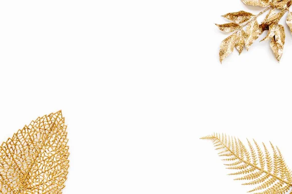Berbagai Daun Emas Atas Latar Belakang Putih Salin Ruang Stok Gambar Bebas Royalti