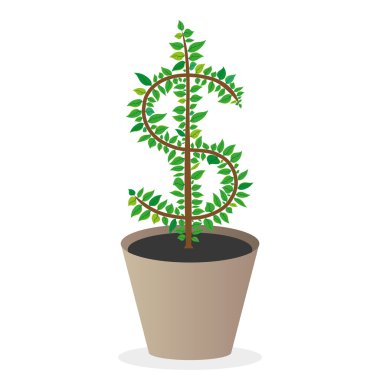 Dolar işareti yaprakları üzerinden