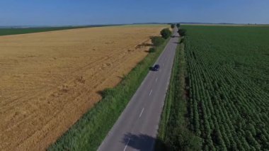 Araba bir kırsal yolda durdu. Hava