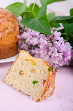 Cugar meyveleri ve eflatun çiçekler bahar arka plan üzerinde pannetone pasta dilimi. Seçici odak