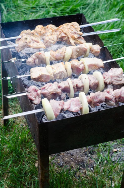 Shashlik marinado ou kebab shish, carne crua grelhando em espeto de metal, de perto. Foco seletivo — Fotografia de Stock