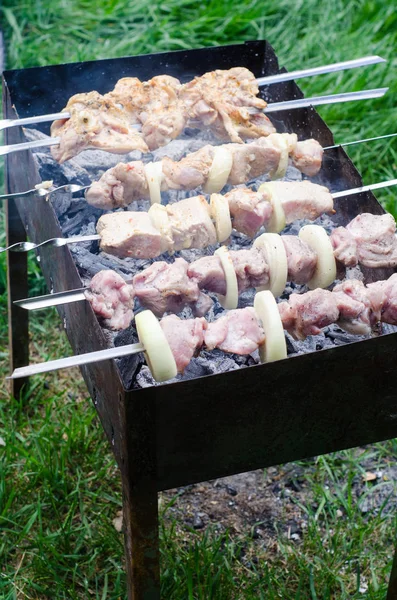 Marinated shashlik or shish kebab, raw meat grilling on metal skewer, close up. Selective focus — Stock Photo, Image