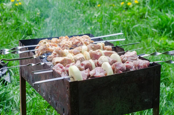 Marinated shashlik or shish kebab, raw meat grilling on metal skewer, close up. Selective focus — Stock Photo, Image
