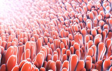 3d illustration of microscopic closeup of intestine villus clipart