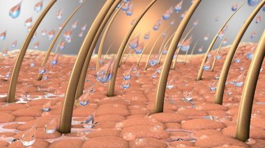 3D çizimi su damla saçlı deri parçası bir yakın Tarih ve ve saç kökleri