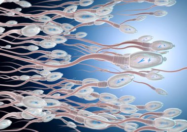 3d illustration of sperm cells moving to the right  clipart