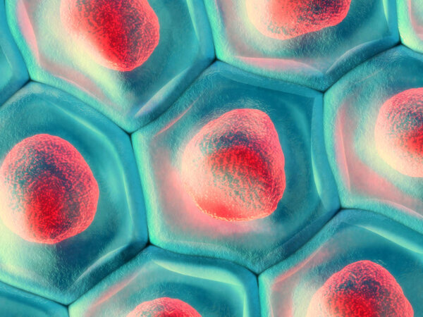 3d illustration of a top view on blue cell pattern with red cell nucleus