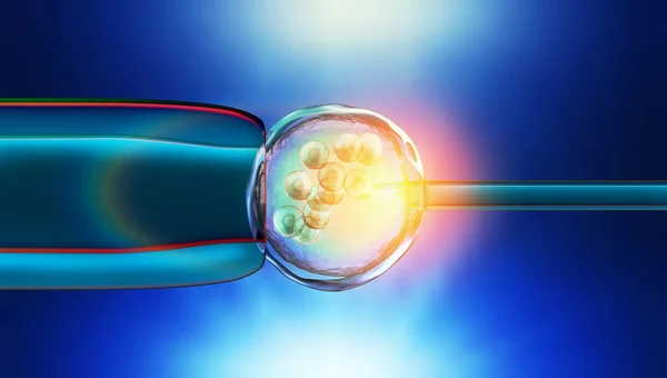 Bir Yumurta Hücresinin Bir Vitro Fertilizasyon Renkli Çizimi — Stok fotoğraf