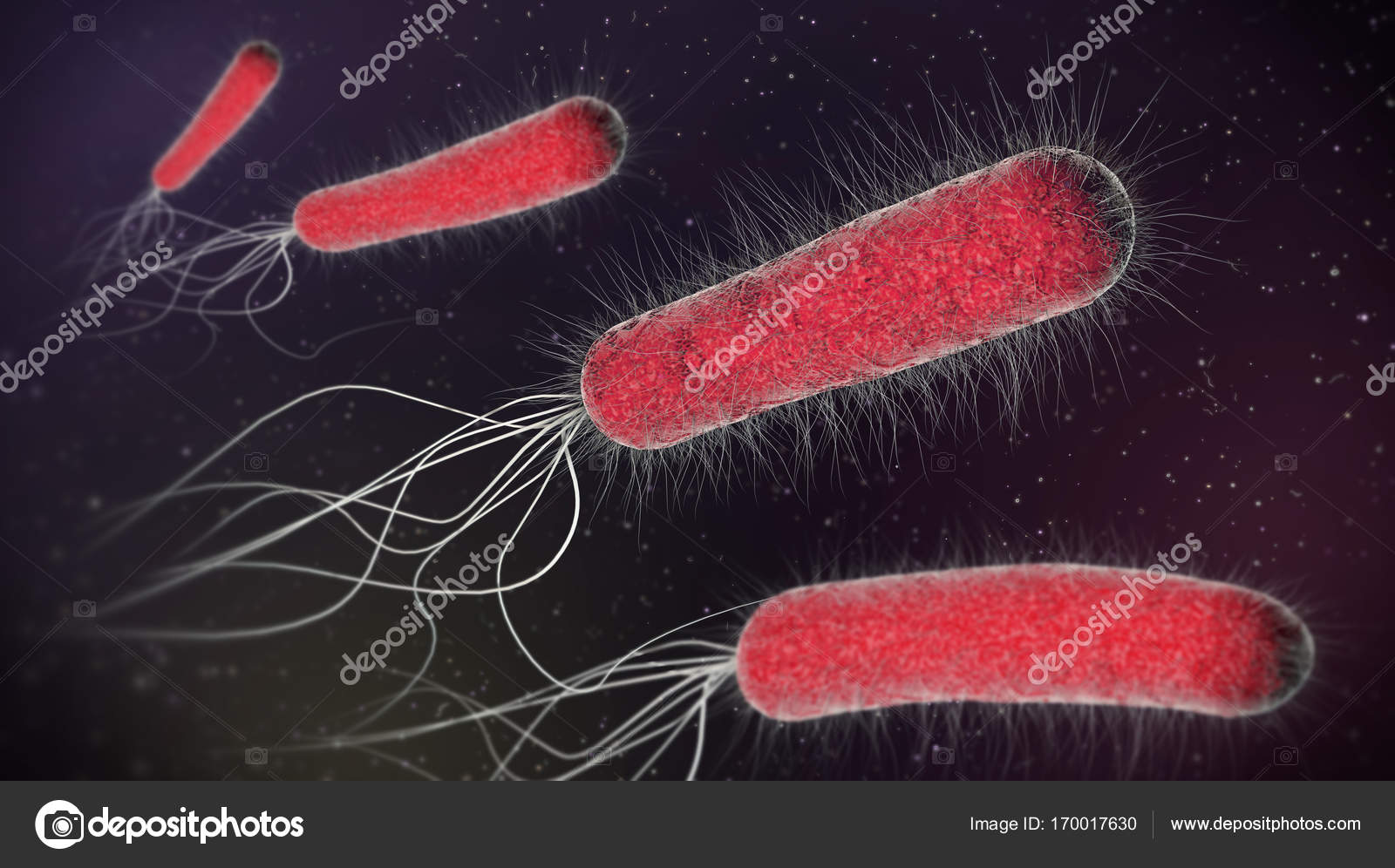 Illustration Red Bacteria Single Cell — Stock Photo
