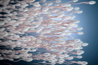 sperm hücreleri sağa kaydırılması 3D çizimi 