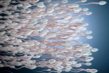 3d illustration of sperm cells moving to the right  clipart