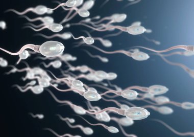 sperm hücreleri sağa kaydırılması 3D çizimi 
