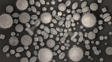 3d illustration of different kinds of pollen  clipart