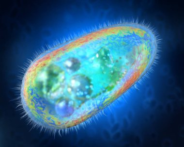 3D illustration of transparent and colorful protozoa or unicellular organism clipart