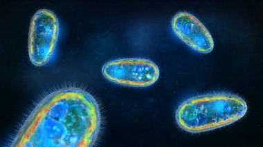3D illustration of transparent and colorful protozoa or unicellular organism clipart
