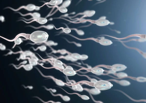 sperm hücreleri sağa kaydırılması 3D çizimi 