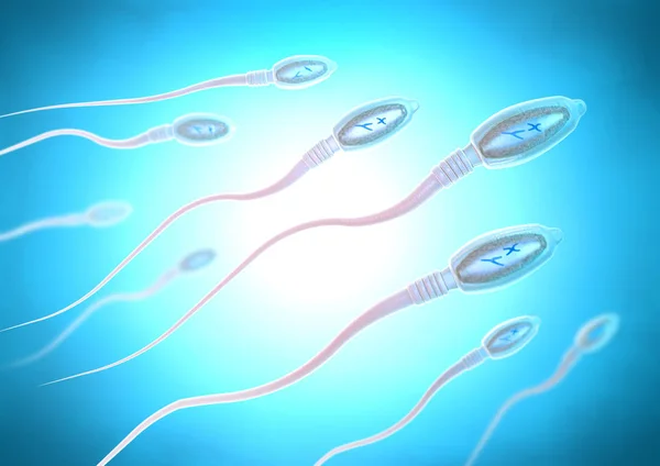 Иллюстрация Перемещения Сперматозоидов Вправо Яйцеклетке — стоковое фото