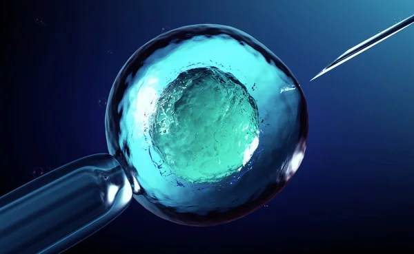 suni tohumlama veya in-vitro fertilizasyon yumurta, yumurta veya zigot 3D render