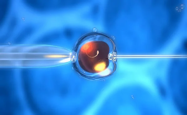 Rendering Inseminazione Artificiale Fecondazione Vitro Una Cellula Uovo Ovulo Zigote — Foto Stock
