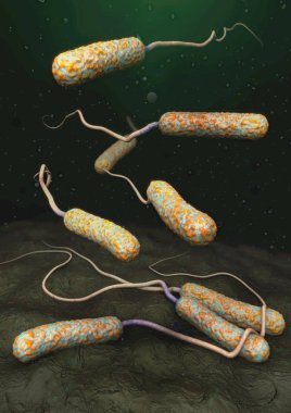 3d illustration of cholera pathogens in dark polluted water clipart