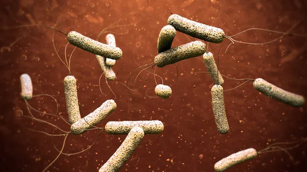 Ilustrasi 3d dari patogen kolera dalam air oranye gelap — Stok Foto