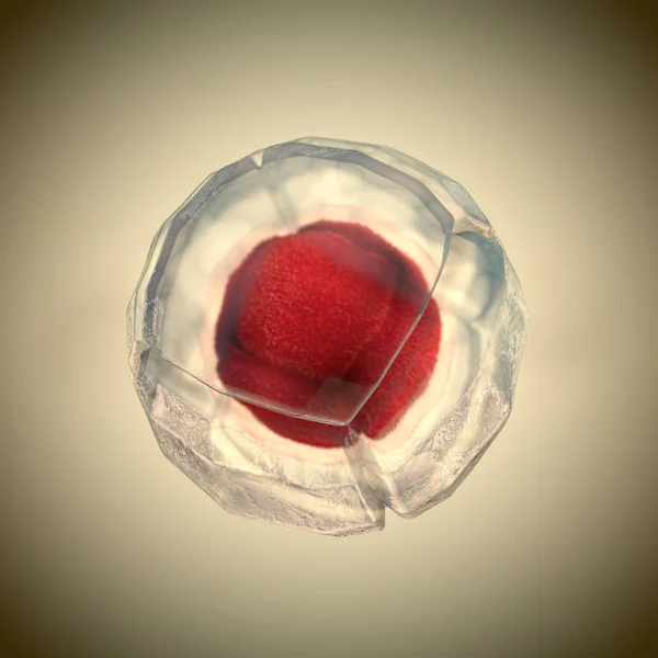 3D illustratie van celdeling, celmembraan en een splitsing rode kern — Stockfoto