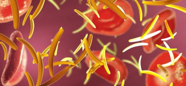 Flowing sporozoites transmitted by mosquitoes into bloodstream causing malaria - 3d illustration clipart