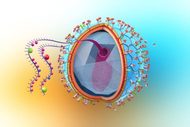 Bir HIV virüsü görüntüleme bileşenlerinin çapraz bölümü - 3d illüstrasyon