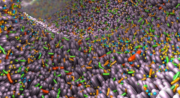 Różne zarazki w jelitach ludzkich o nazwie microbiome - ilustracja 3d — Zdjęcie stockowe