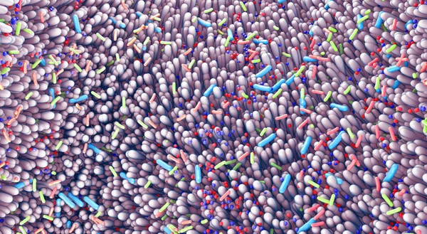Diferentes gérmenes en los intestinos humanos llamados microbioma - ilustración 3d — Foto de Stock