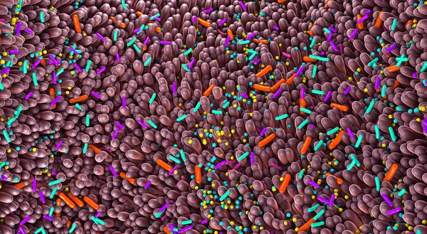 Różne zarazki w jelitach ludzkich o nazwie microbiome - ilustracja 3d — Zdjęcie stockowe