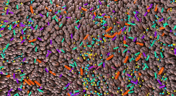 Different germs in the human intestines called microbiome - 3d illustration — 스톡 사진