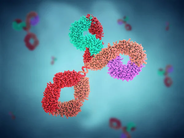 Multicolored anitibody or immunoglobulin - 3d illustration — 스톡 사진