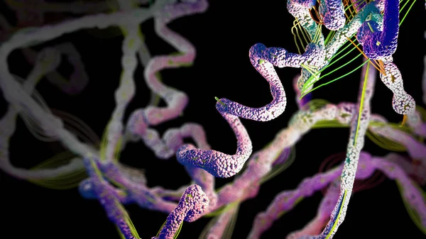 Kette von Aminosäuren oder Biomolekülen, Protein genannt - 3D-Illustration — Stockfoto