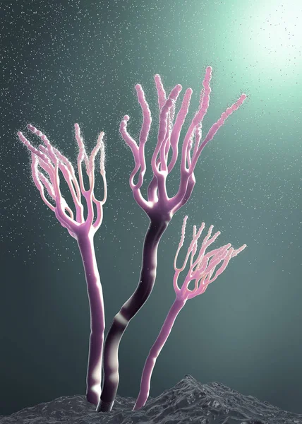 Illustrazione microscopica di muffe in crescita o funghi e spore di muffa - Illustrazione 3d — Foto Stock