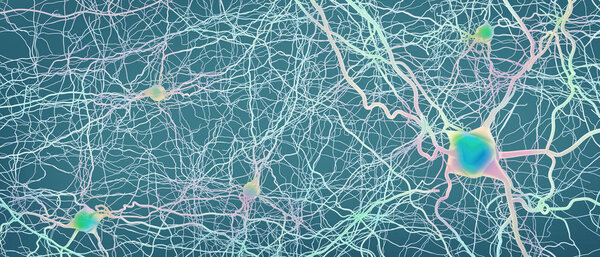 Connected neurons or nerve cells- 3d illustration