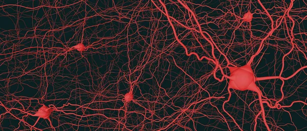 Anslutna nervceller eller nervceller- 3D-illustration — Stockfoto