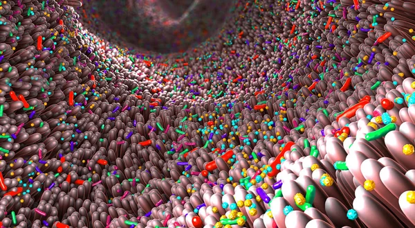 Verschiedene Keime im menschlichen Darm, Mikrobiom genannt - 3D-Illustration Stockbild