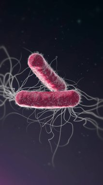 Mor renkli çoklu antibiyotik direnci Pseudomonas aeruginosa bakterisi - 3d illüstrasyon