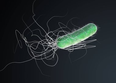 Yeşil renkli çoklu antibiyotik dirençli Pseudomonas aeruginosa bakterisi - 3d illüstrasyon