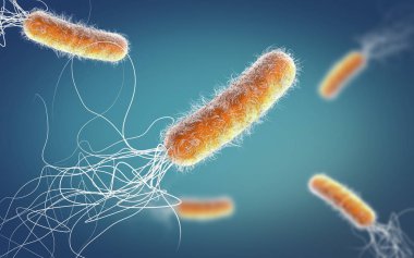 Turuncu renkli çoklu antibiyotik dirençli Pseudomonas aeruginosa bakterisi - 3d illüstrasyon