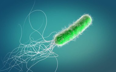 Tek turuncu renkli çoklu antibiyotik dirençli Pseudomonas aeruginosa bakterisi - 3d illüstrasyon