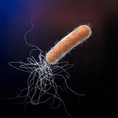 Tek turuncu renkli çoklu antibiyotik dirençli Pseudomonas aeruginosa bakterisi - 3d illüstrasyon