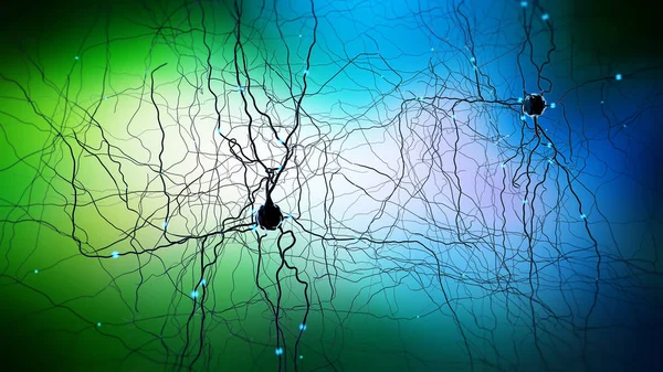 Signal transmitting neuron or nerve cell- 3d illustration — Stock Photo, Image