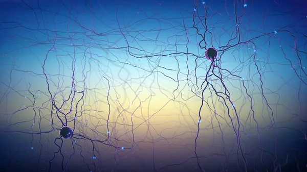 Signal transmitting neuron or nerve cell- 3d illustration — Stock Photo, Image