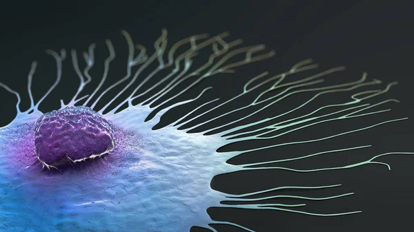 Ilustração científica de uma célula de câncer de mama migrante - ilustração 3d — Fotografia de Stock