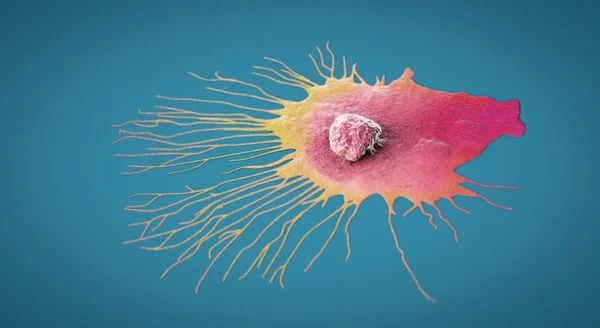 Επιστημονική απεικόνιση ενός κυττάρου καρκίνου του μαστού που μεταναστεύει - 3d illustration — Φωτογραφία Αρχείου